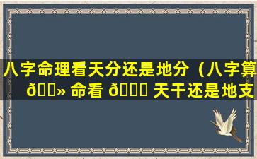八字命理看天分还是地分（八字算 🌻 命看 🐝 天干还是地支）